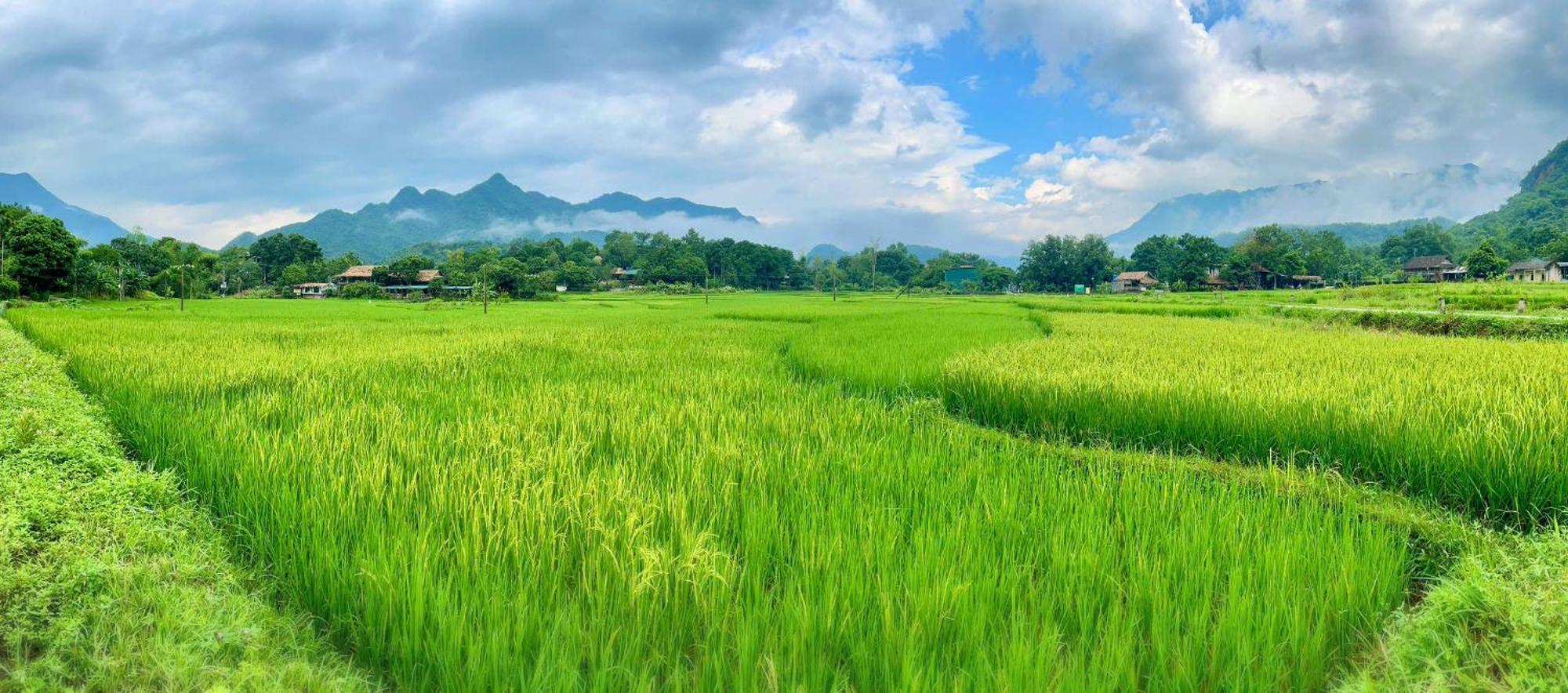 Mai Chau Sky Resort Экстерьер фото