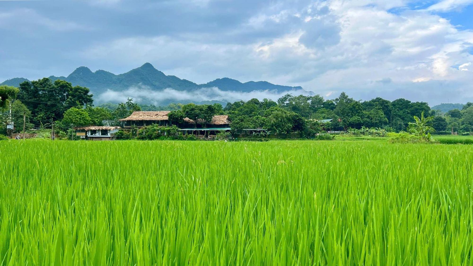 Mai Chau Sky Resort Экстерьер фото